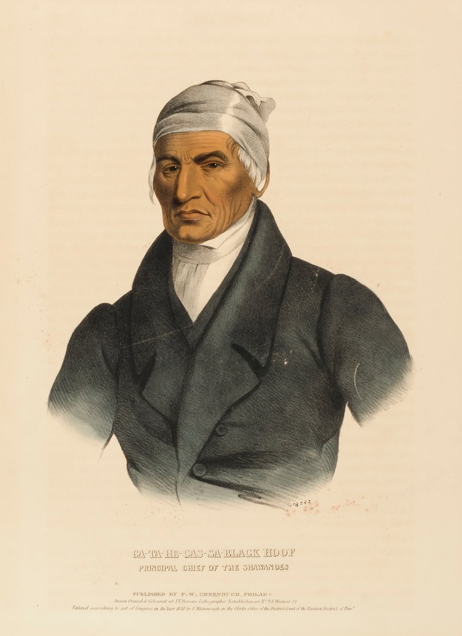 CA-TA-HE-CAS-SA-BLACK HOOF. PRINCIPAL CHEFE DOS SHAWANOES, deHistory of the Indian Tribes of North America de Charles Bird King