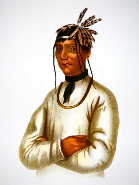 Caatousee of the Chippewa Tribe (cor litho) de Charles Bird King