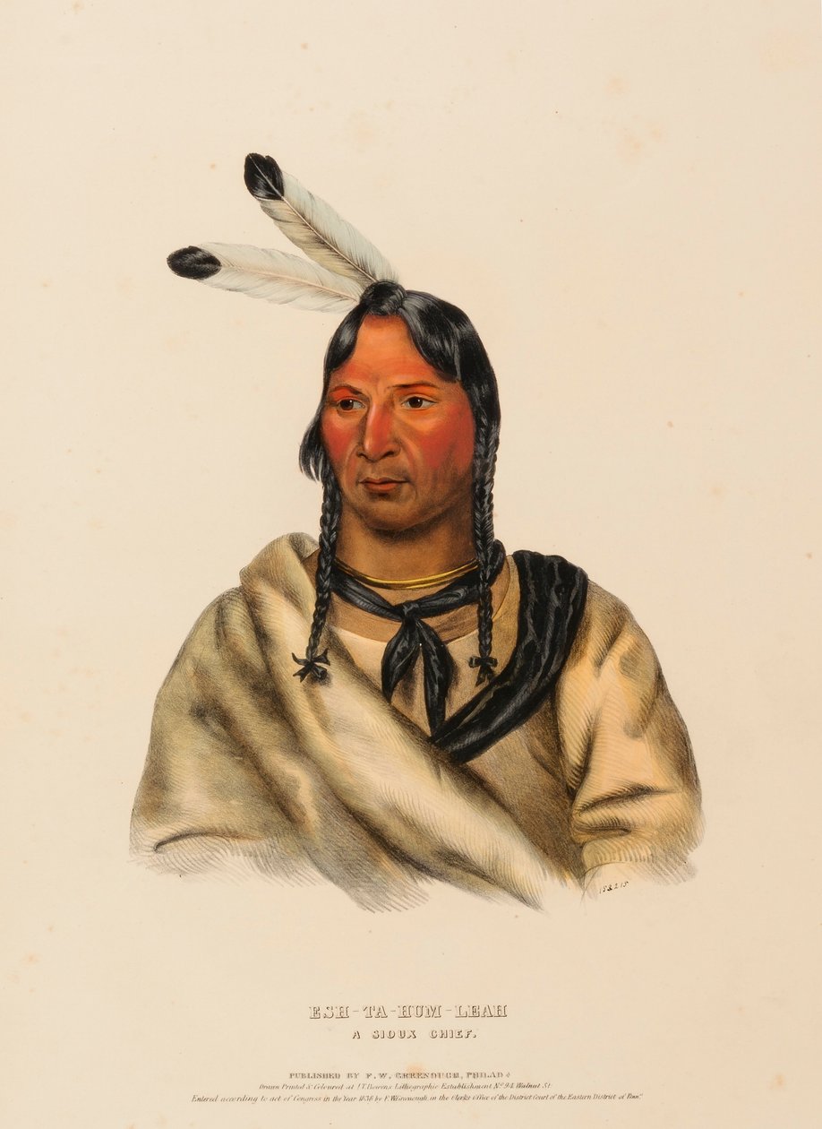 ESH-TA-HUM-LEAH. UM CHEFE SIOUX, de History of the Indian Tribes of North America de Charles Bird King