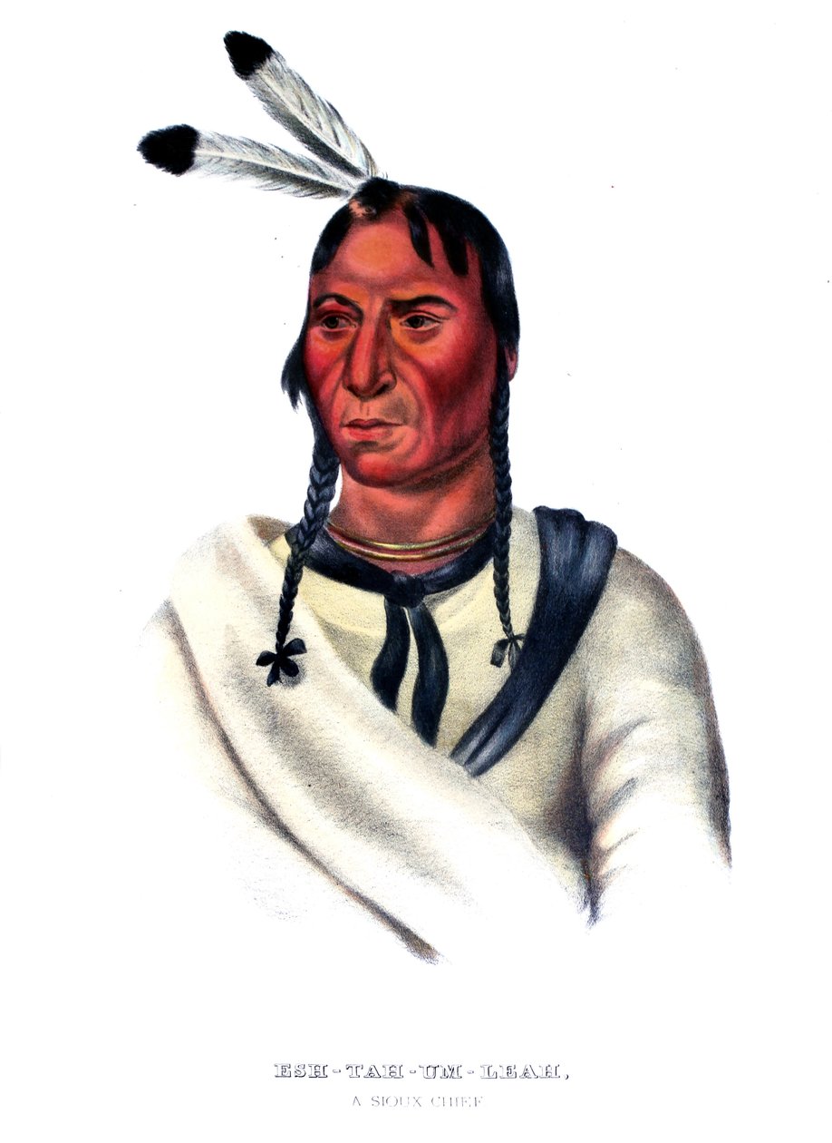 Eshtahumbah (Olhos Sonolentos), um Chefe Sioux de Charles Bird King
