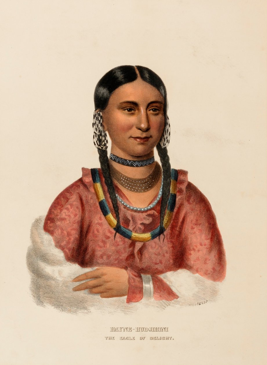 HAYNE-HUDJIHINI. THE EAGLE OF DELIGHT, de História das tribos indígenas da América do Norte de Charles Bird King