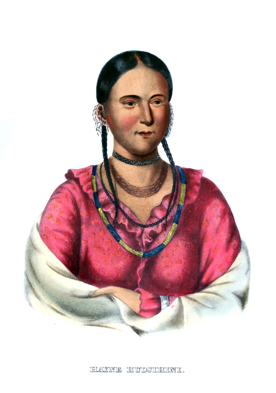 Hayne Hudjihini, ou Águia das Delícias de Charles Bird King