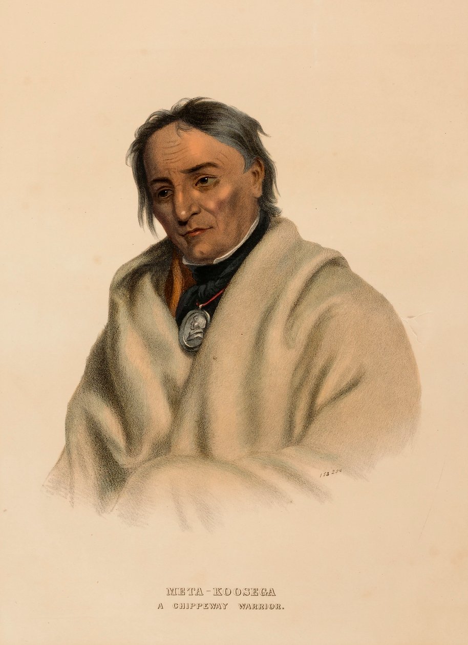 META-KOOSEGA. A CHIPPEWAY WARRIOR", de History of the Indian Tribes of North America de Charles Bird King