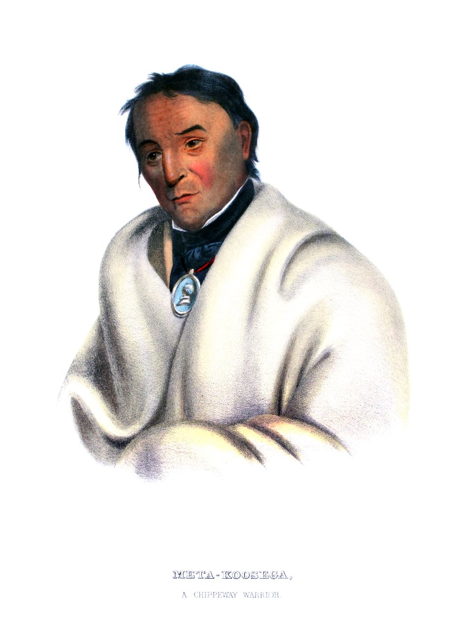 Metakoosega ("Tabaco Puro"), um guerreiro de Chippeway de Charles Bird King