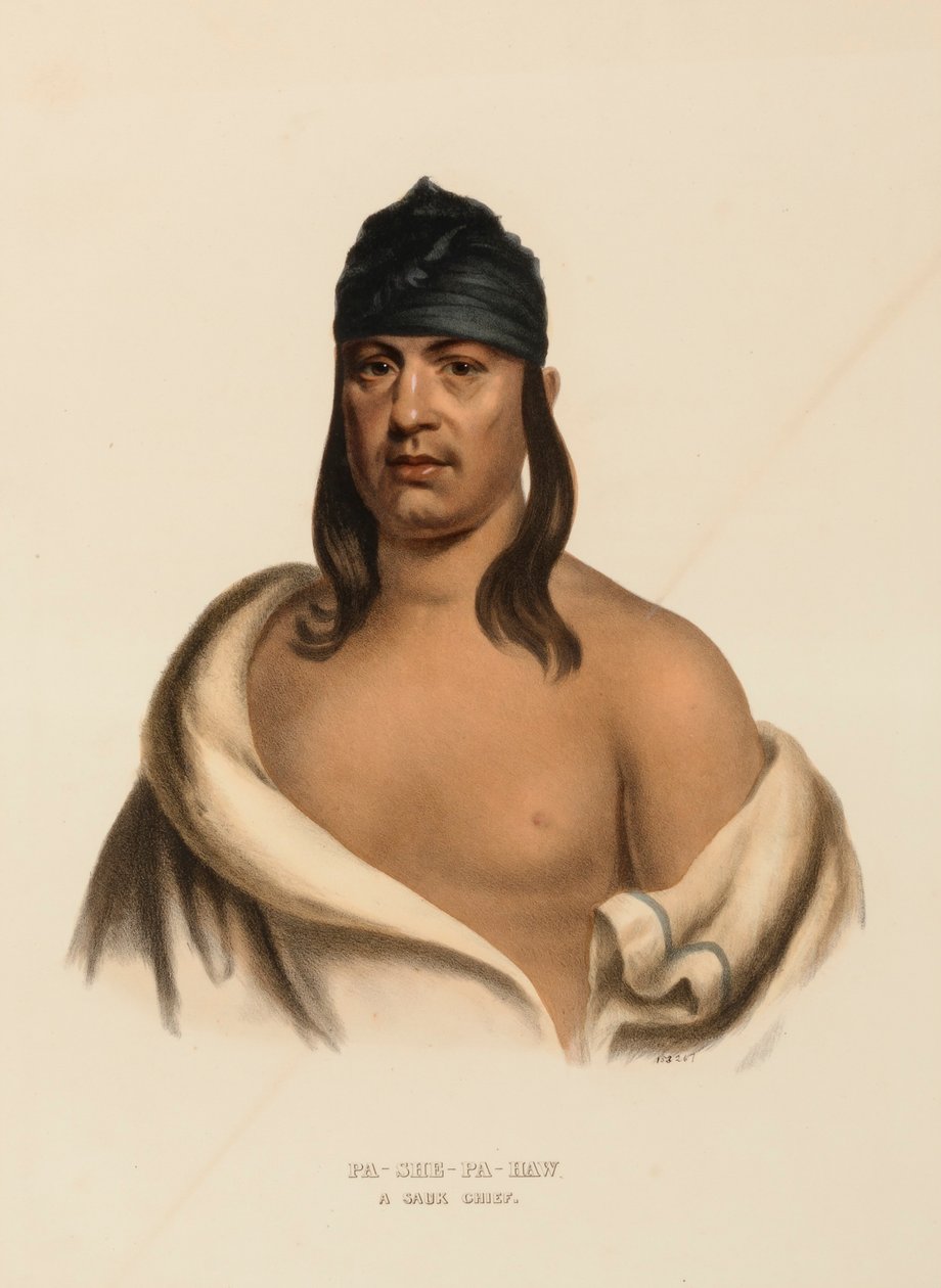 PA-SHE-PA-HAW. A SAUK CHIEF, do History of the Indian Tribes of North America (História das tribos indígenas da América do Norte) de Charles Bird King