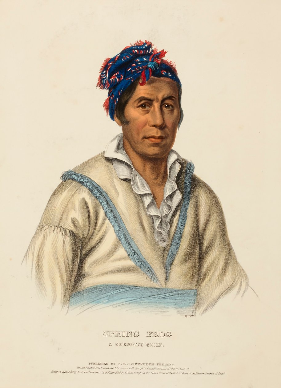 RÃ DA PRIMAVERA. A CHIEF CHEROKEE, de History of the Indian Tribes of North America de Charles Bird King