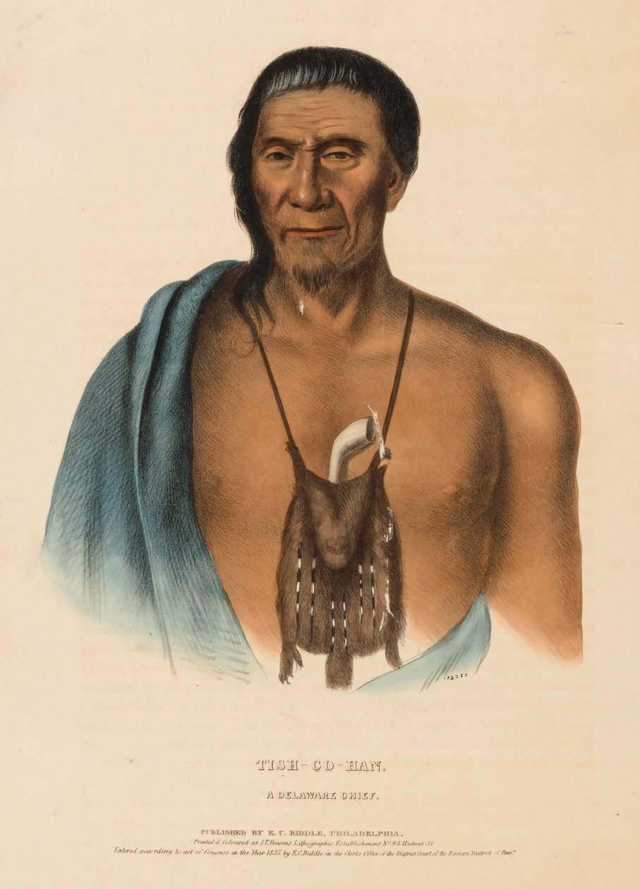 TISH-CO-HAN. A DELAWARE CHIEF, de History of the Indian Tribes of North America de Charles Bird King