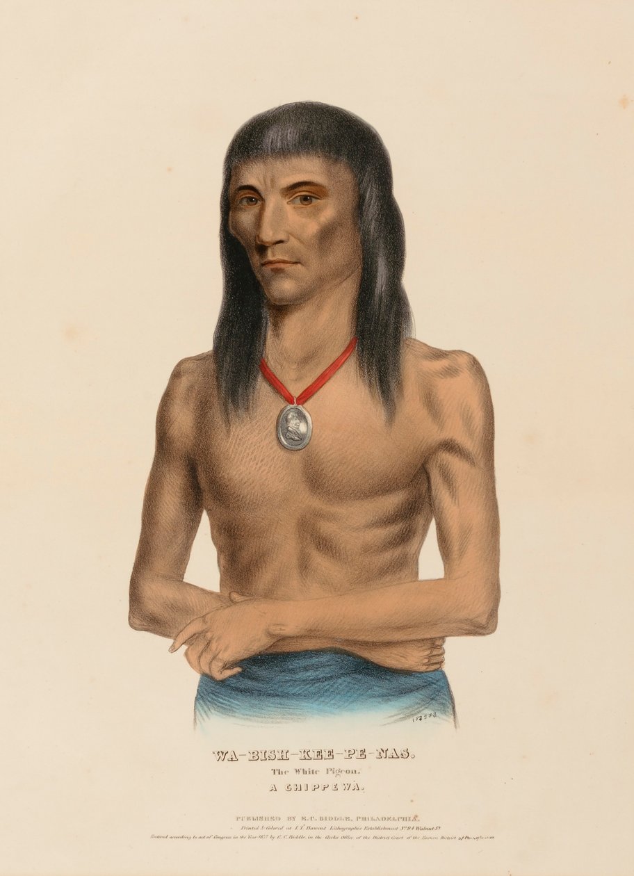 WA-BISH-KEE-PE-NAS. O pombo branco. A CHIPPEWA, de History of the Indian Tribes of North America de Charles Bird King