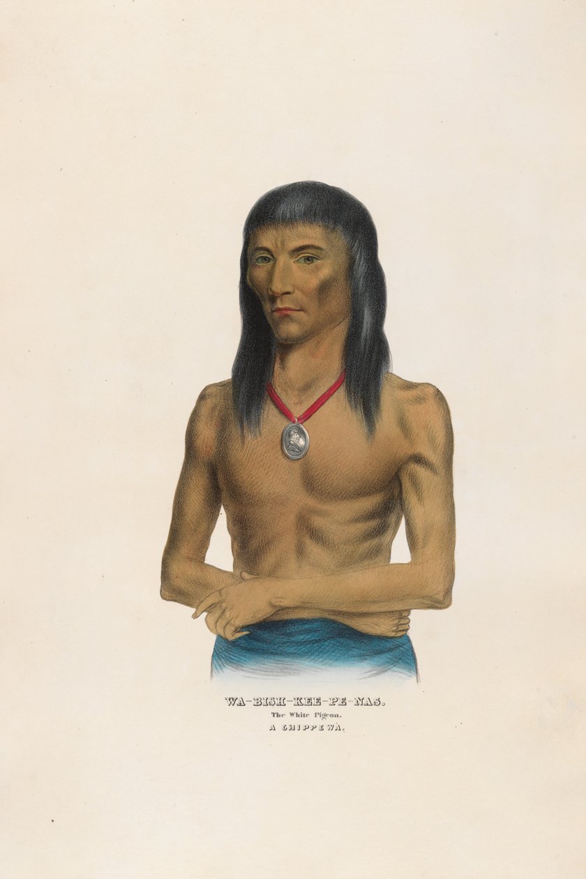 Wa-bish-kee-pe-nas - O pombo branco de Charles Bird King
