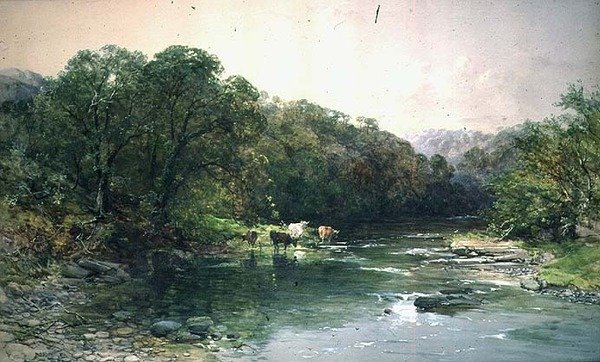 No Dee, North Wales: beber gado de Charles Branwhite