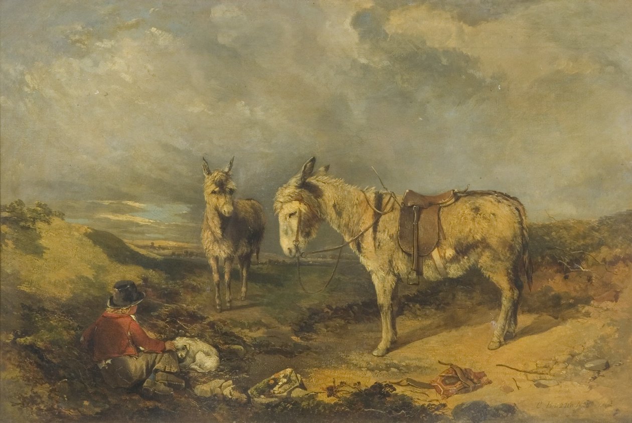 Dois burros de Charles Branwhite