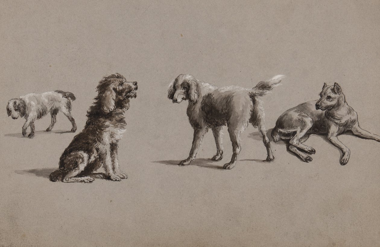Estudos de cães (caneta, pincel, tinta e guache sobre papel) de Charles Cooper Henderson