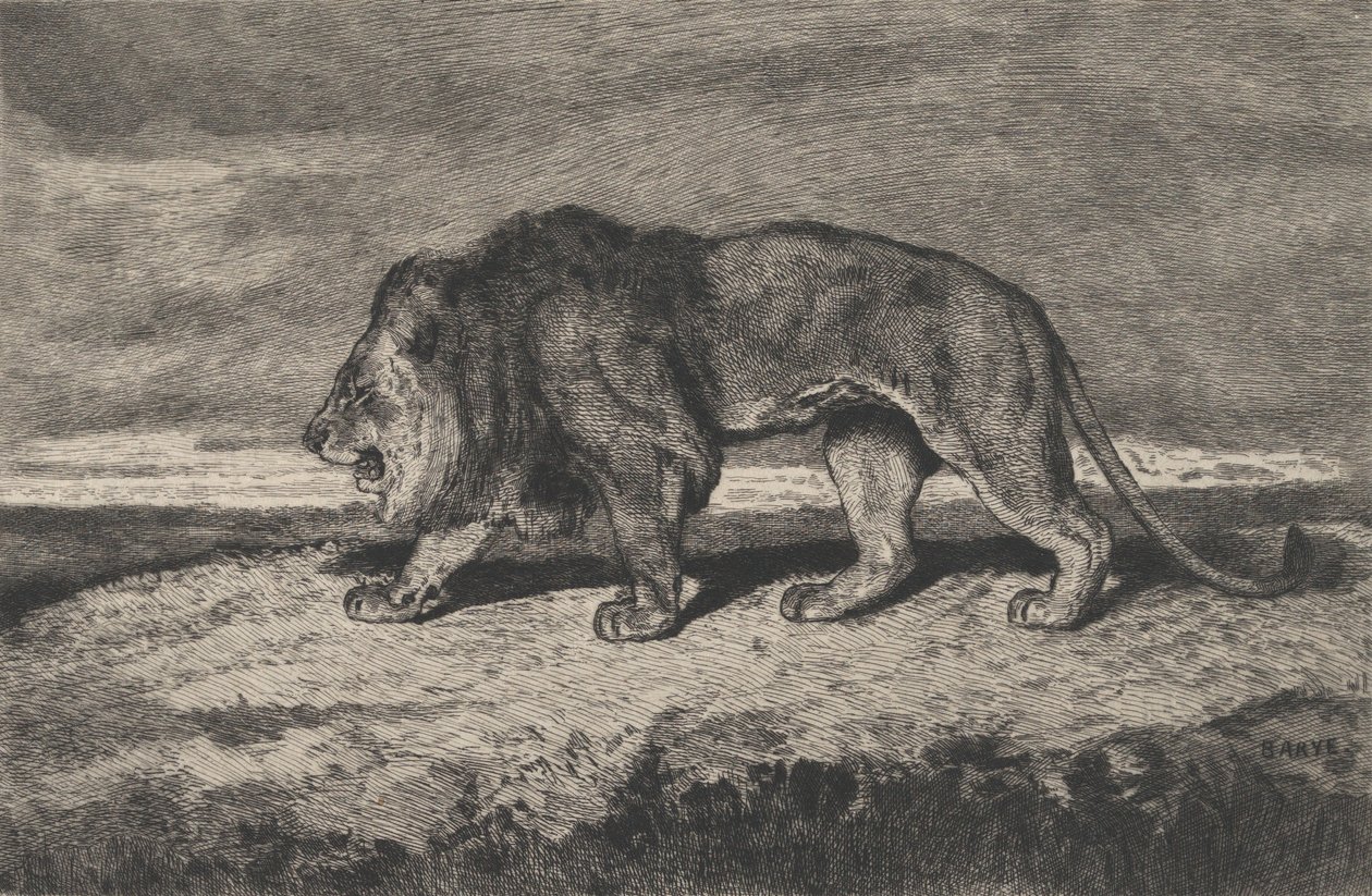 Leão andando, 1866-1897. de Charles Courtry