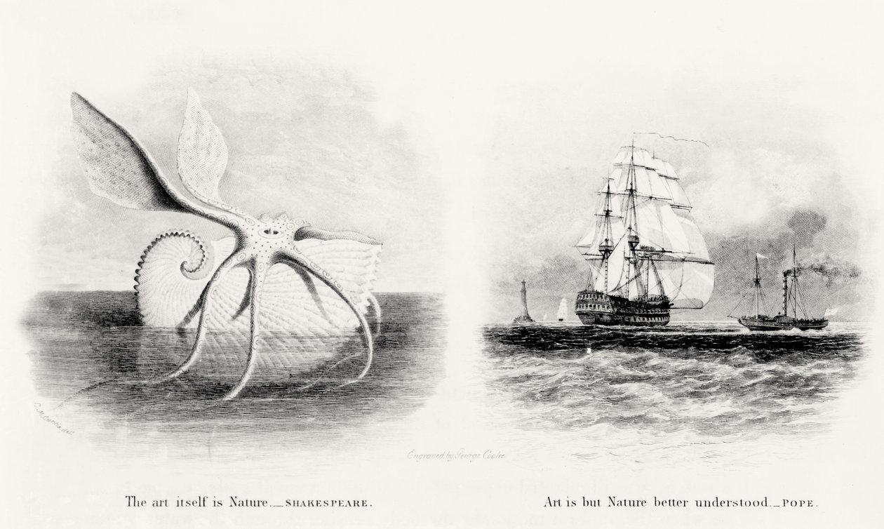 Uma lula gigante e dois navios no mar, gravados por George Cooke (1781-1834) de Charles Curtis