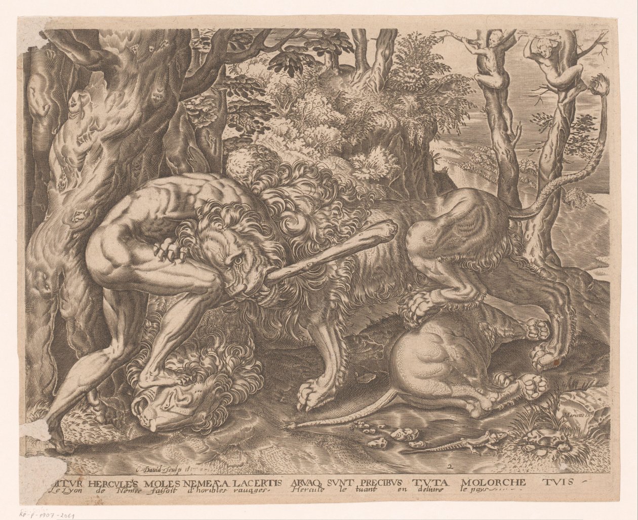 Hércules mantém o leão de Nemean em um estrangulamento Trabalhos de Hércules após Frans Floris (título da série) de Charles David