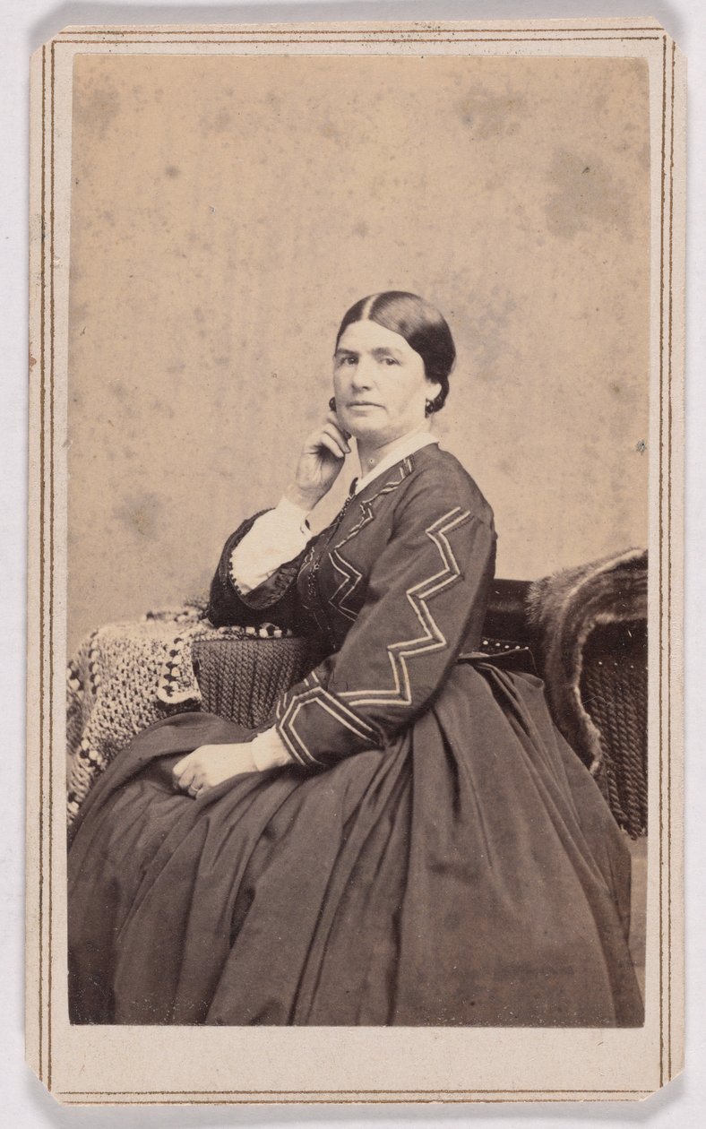 Mary I. Palmer de Charles DeForest Fredricks