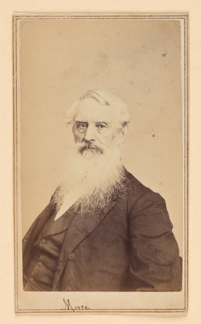 Samuel F. B. Morse de Charles DeForest Fredricks