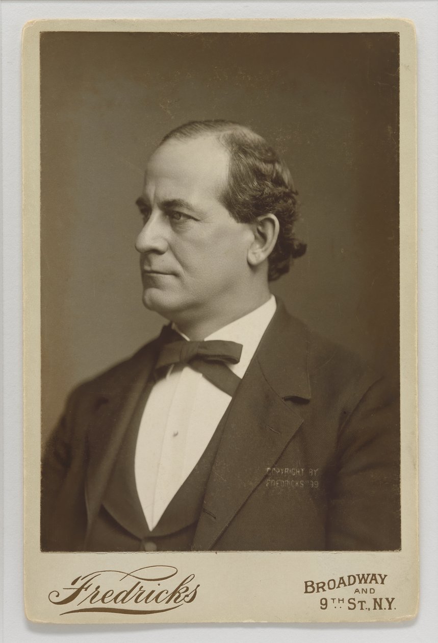William Jennings Bryan de Charles DeForest Fredricks