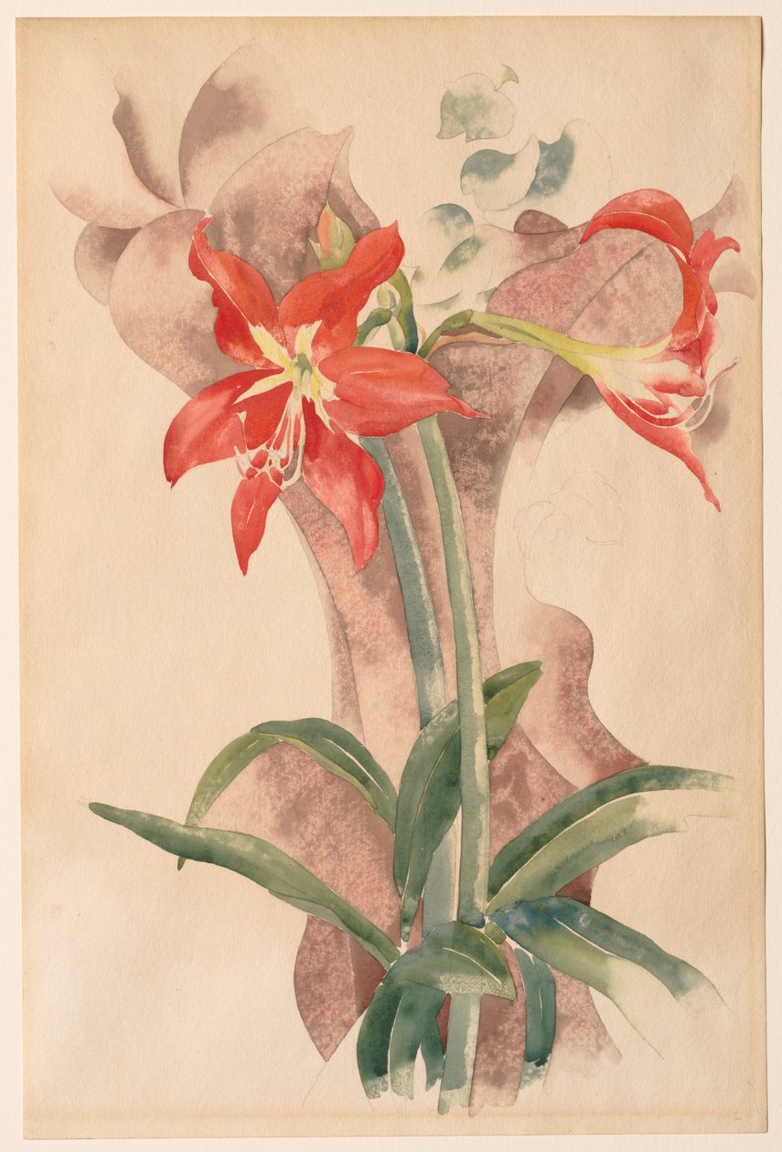 Amarílis de Charles Demuth