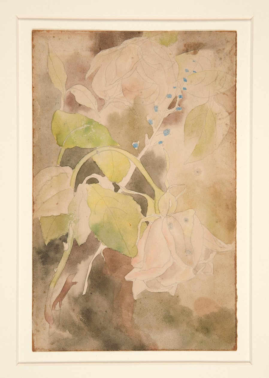 Rosa Pêssego de Charles Demuth