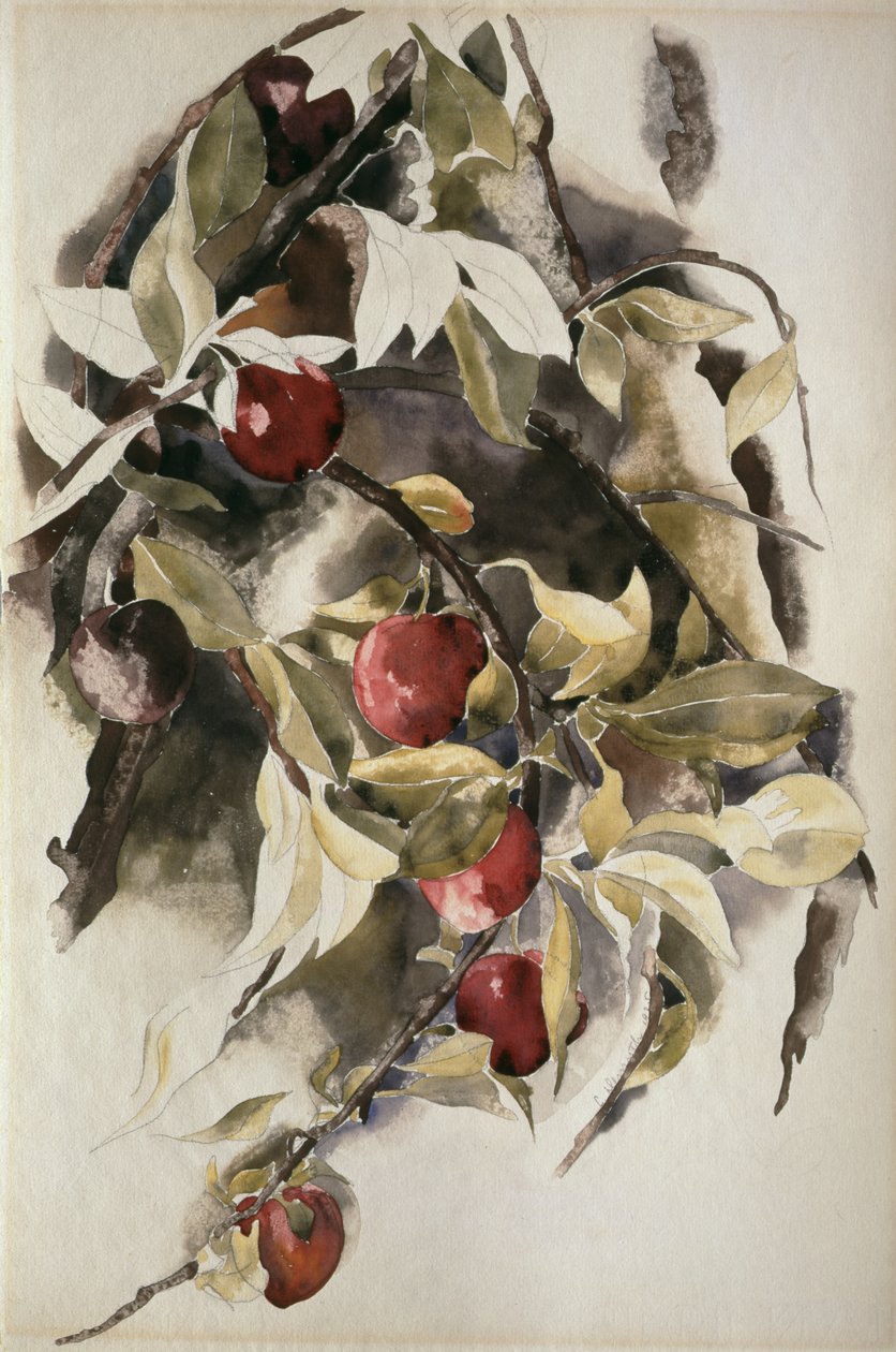Ameixas 1925 de Charles Demuth