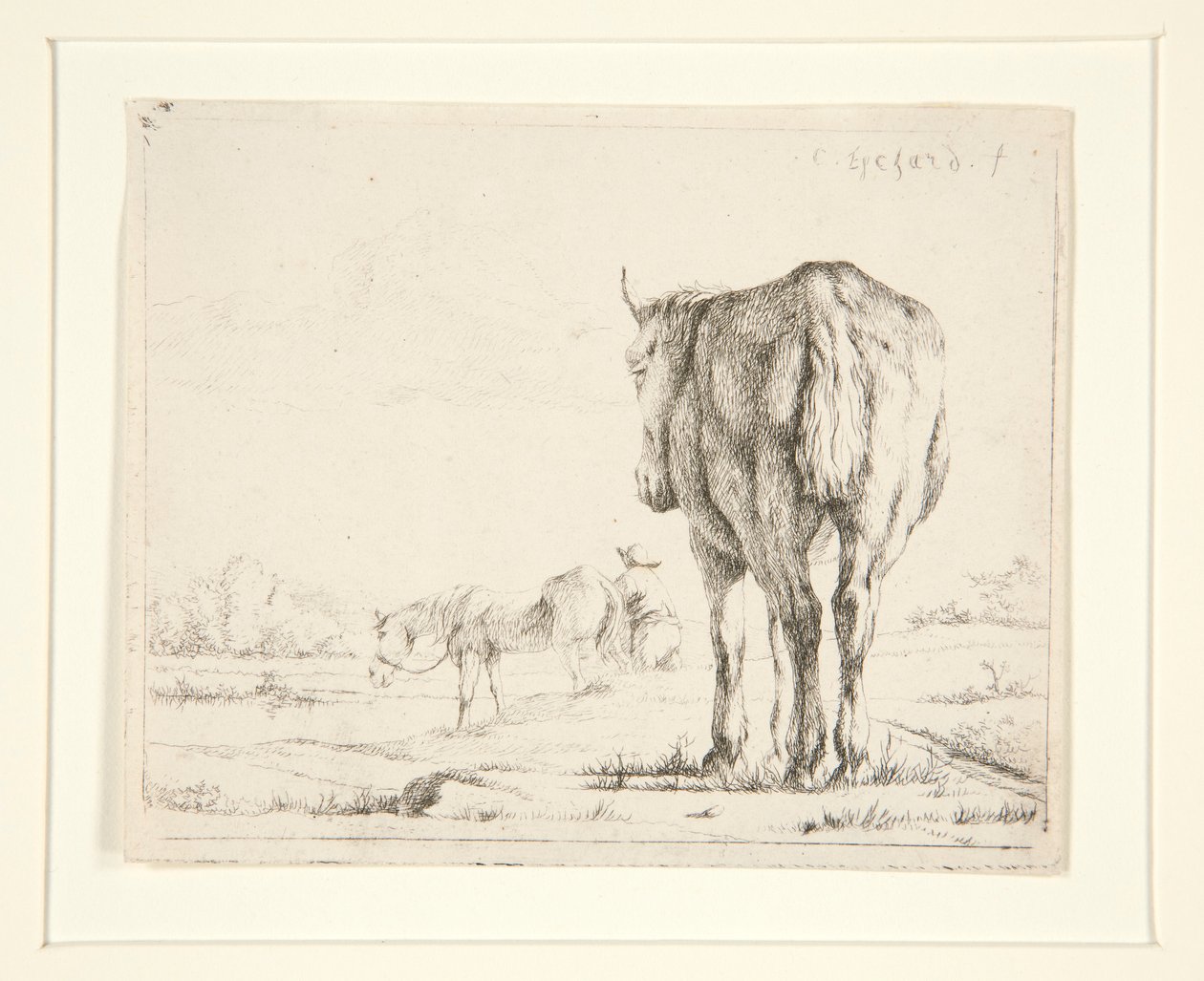 Dois cavalos pastando de Charles Echard