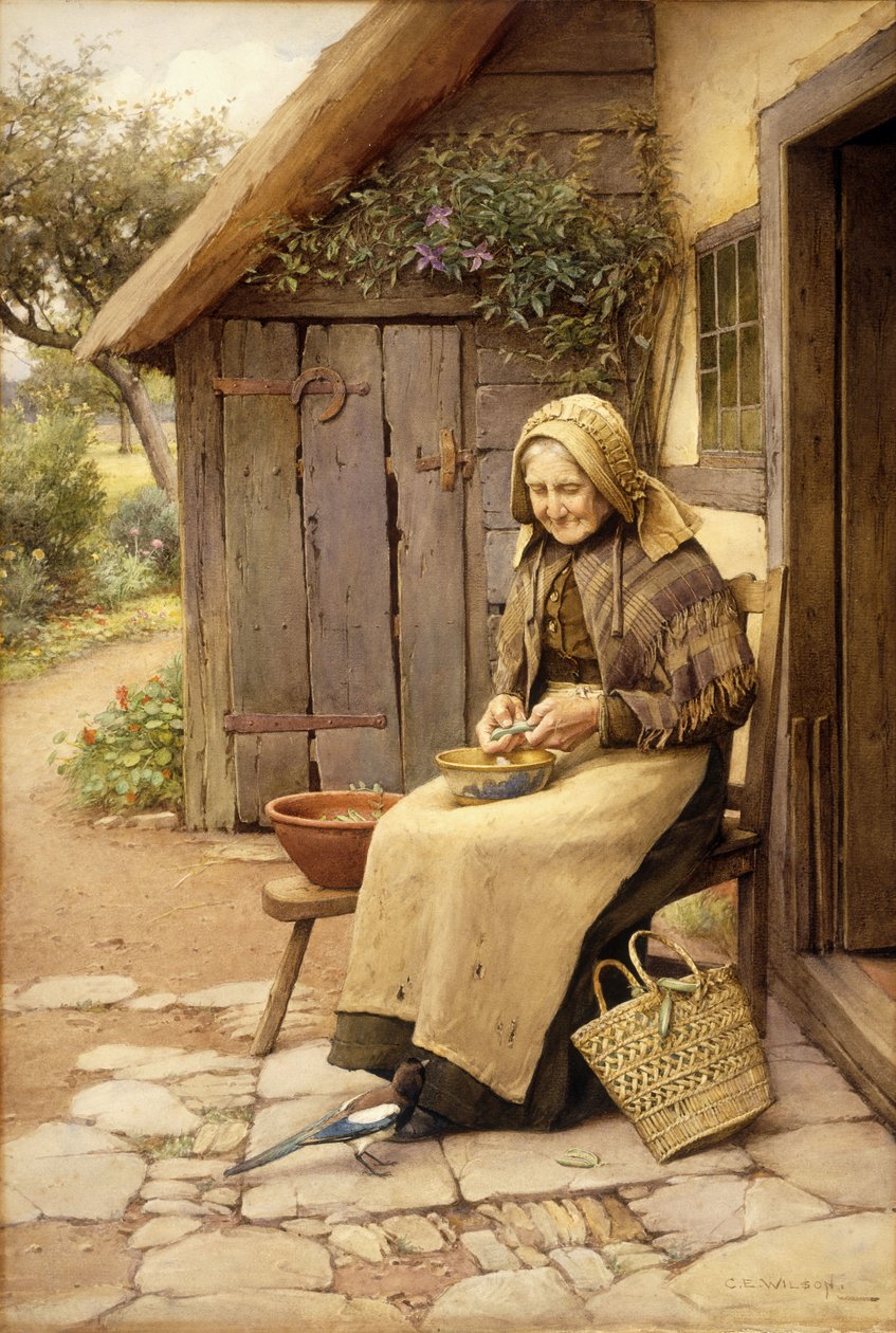Um amigo com penas finas (w - c no papel) de Charles Edward Wilson