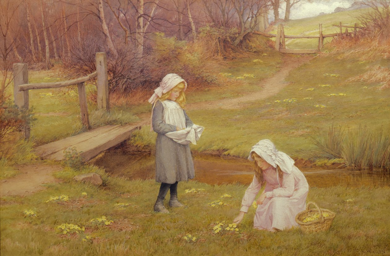 Os Primrose Gatherers (wc) de Charles Edward Wilson