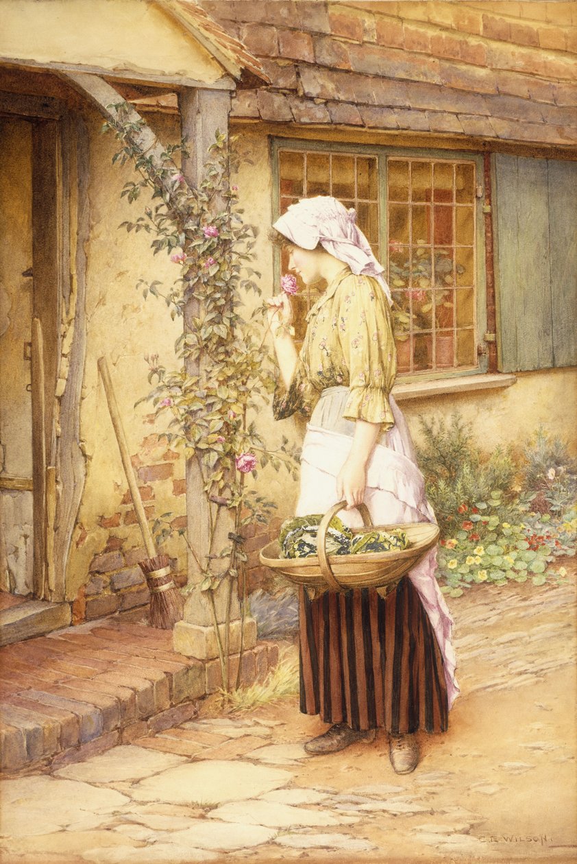 The Sweetest Rose (w - c no papel) de Charles Edward Wilson