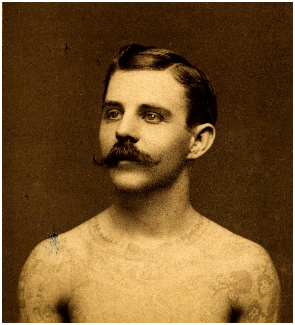 Frank Howard o homem tatuado, c.1900 (cartão de gabinete) de Charles Eisenmann