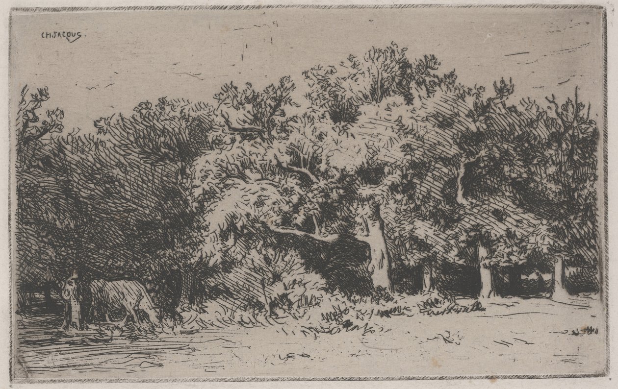 Um canto da floresta de Fontainebleau (gravura) de Charles Emile Jacque