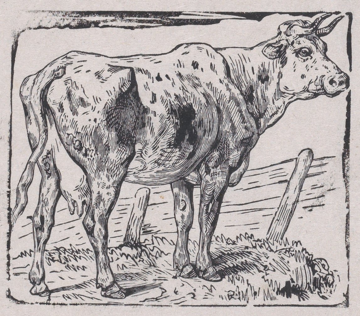 Uma vaca, c. 1853. de Charles Emile Jacque