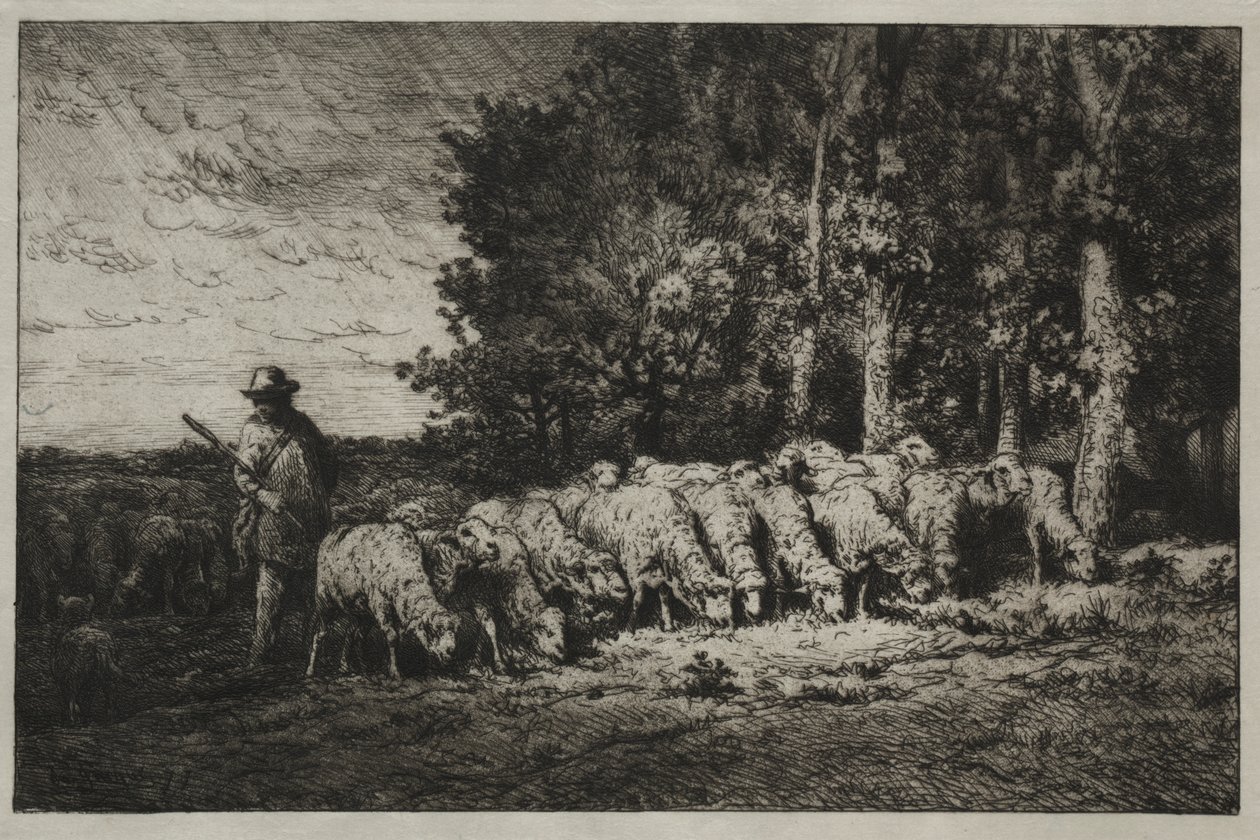 Um rebanho à beira de uma floresta de Charles Emile Jacque