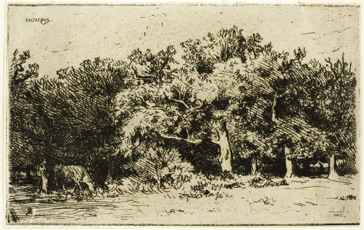 Uma parte da floresta de Fontainebleau de Charles Emile Jacque