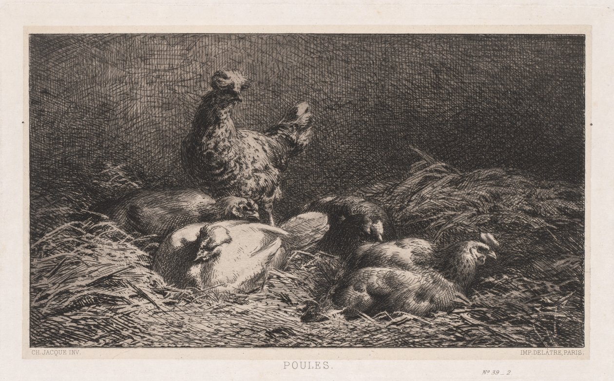 Galinhas de Charles Emile Jacque
