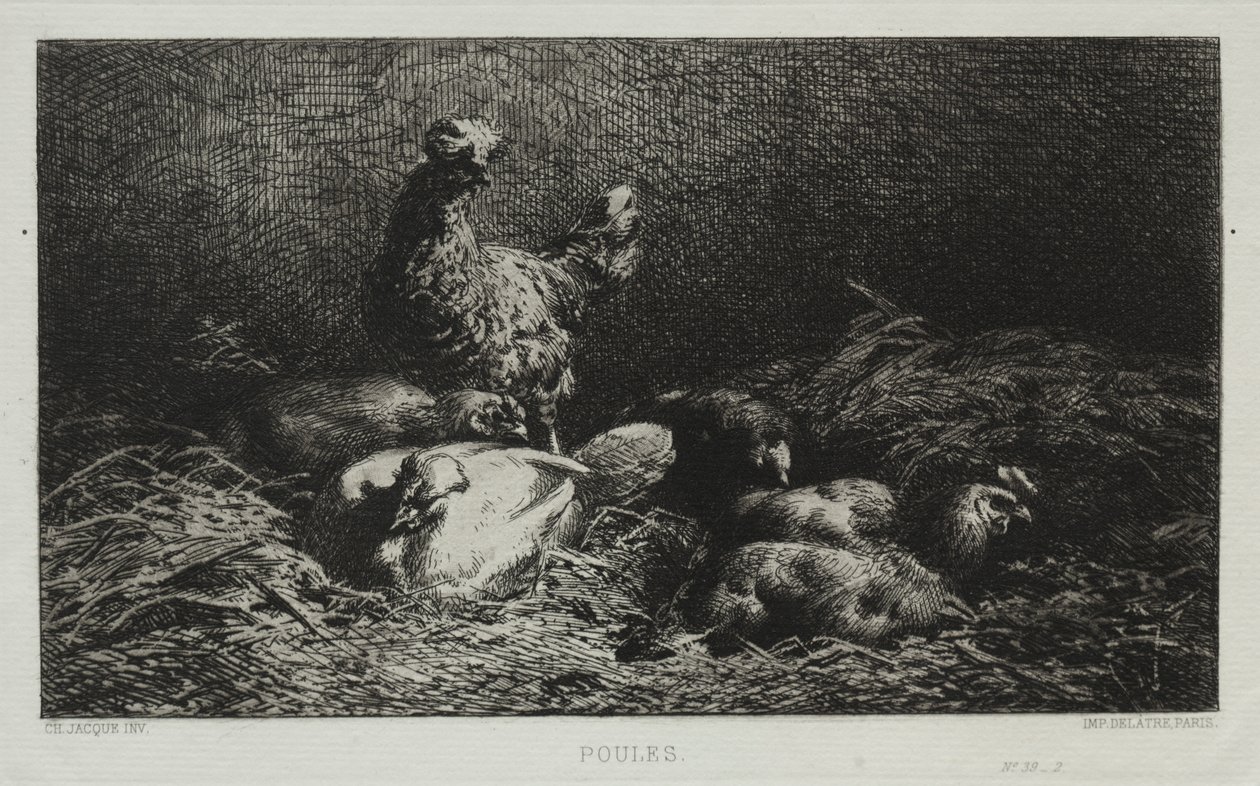 Galinhas de Charles Emile Jacque