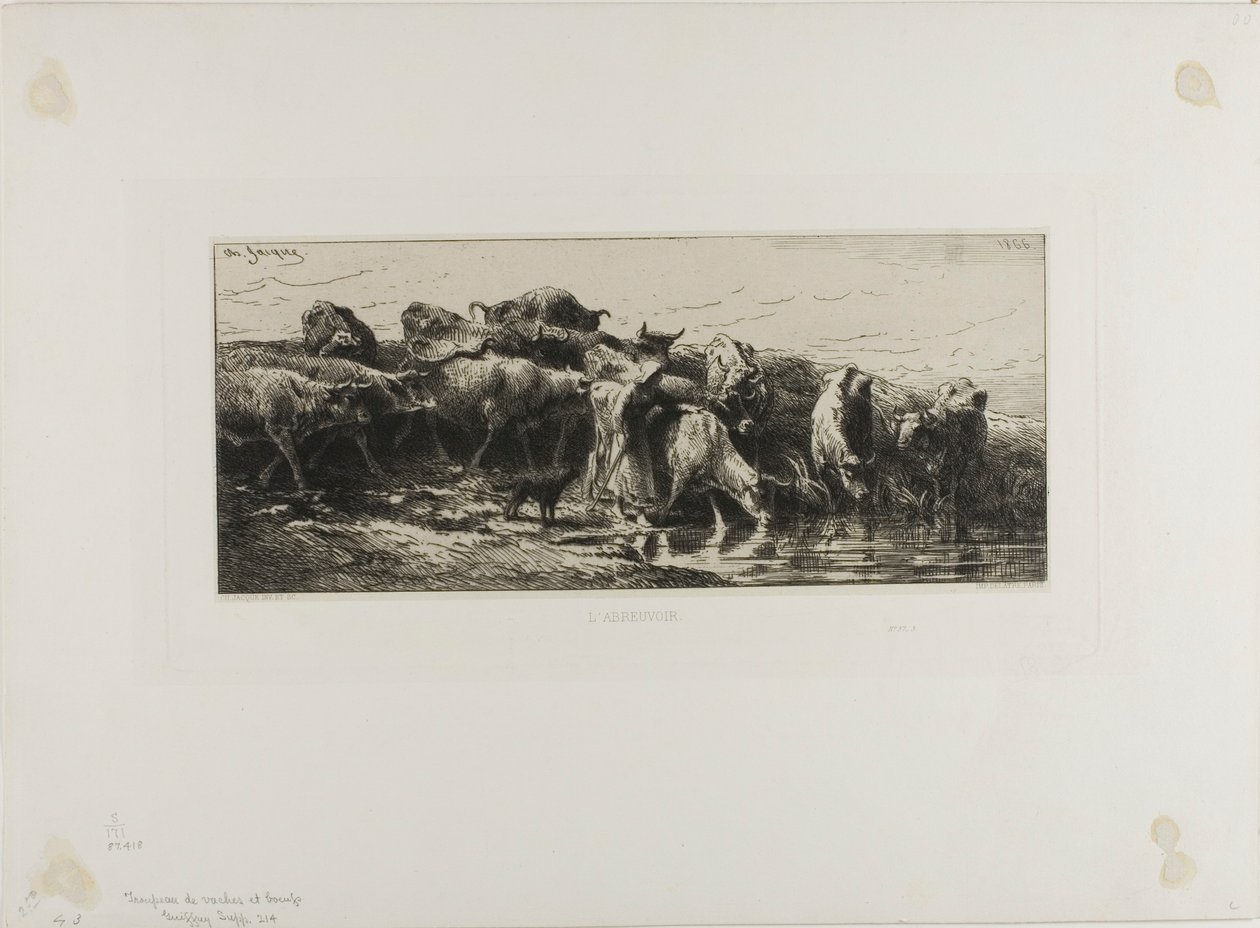 Vacas bebendo de Charles Emile Jacque