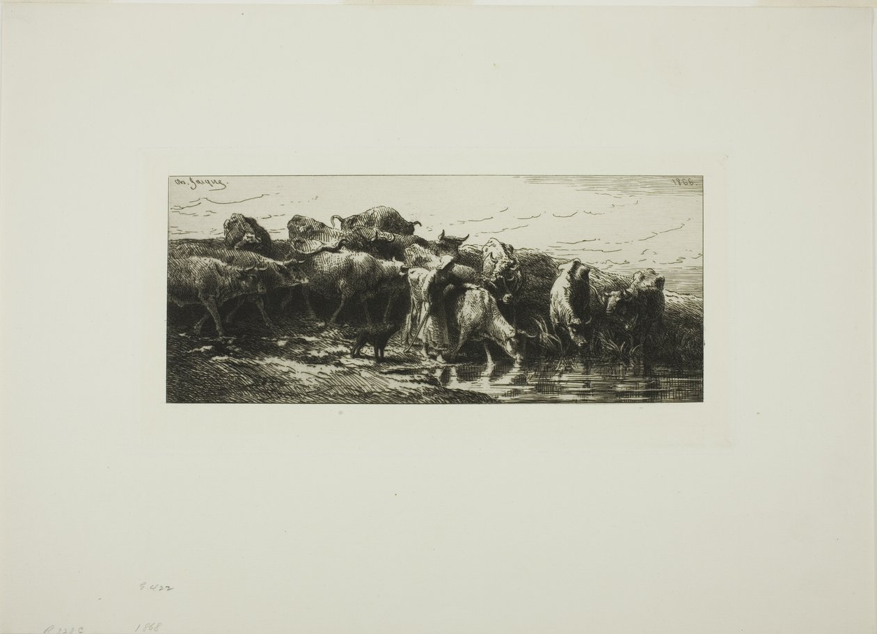 Vacas bebendo do rio de Charles Emile Jacque