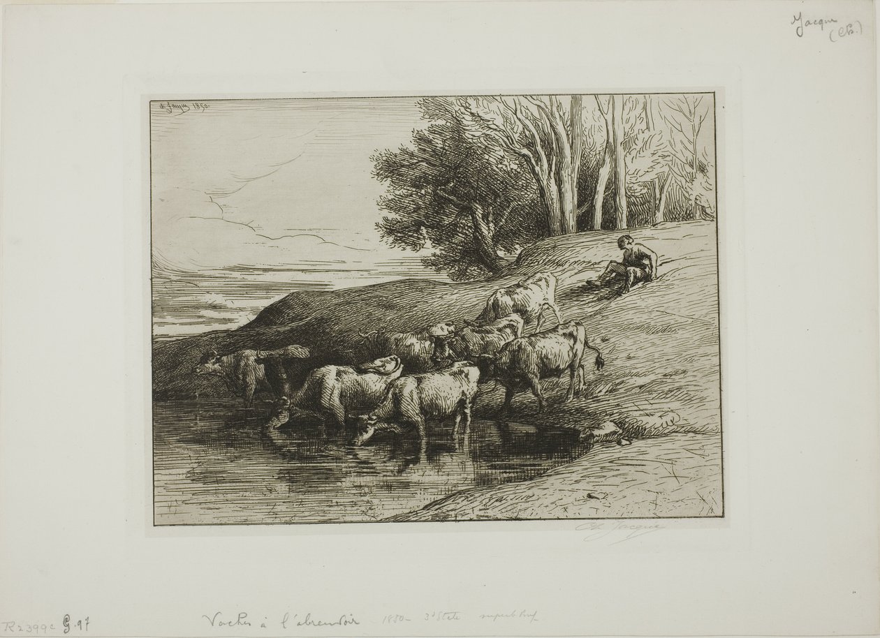 Vacas no local de rega de Charles Emile Jacque