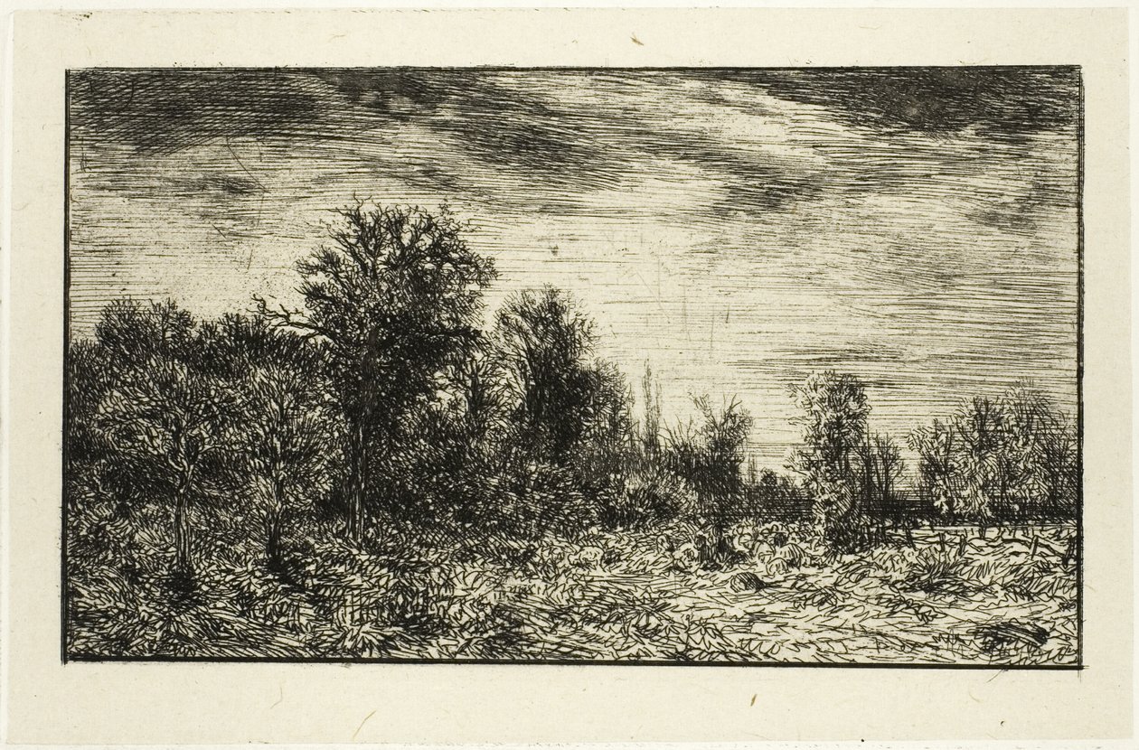 Borda de um bosque, sob céu nublado de Charles Emile Jacque