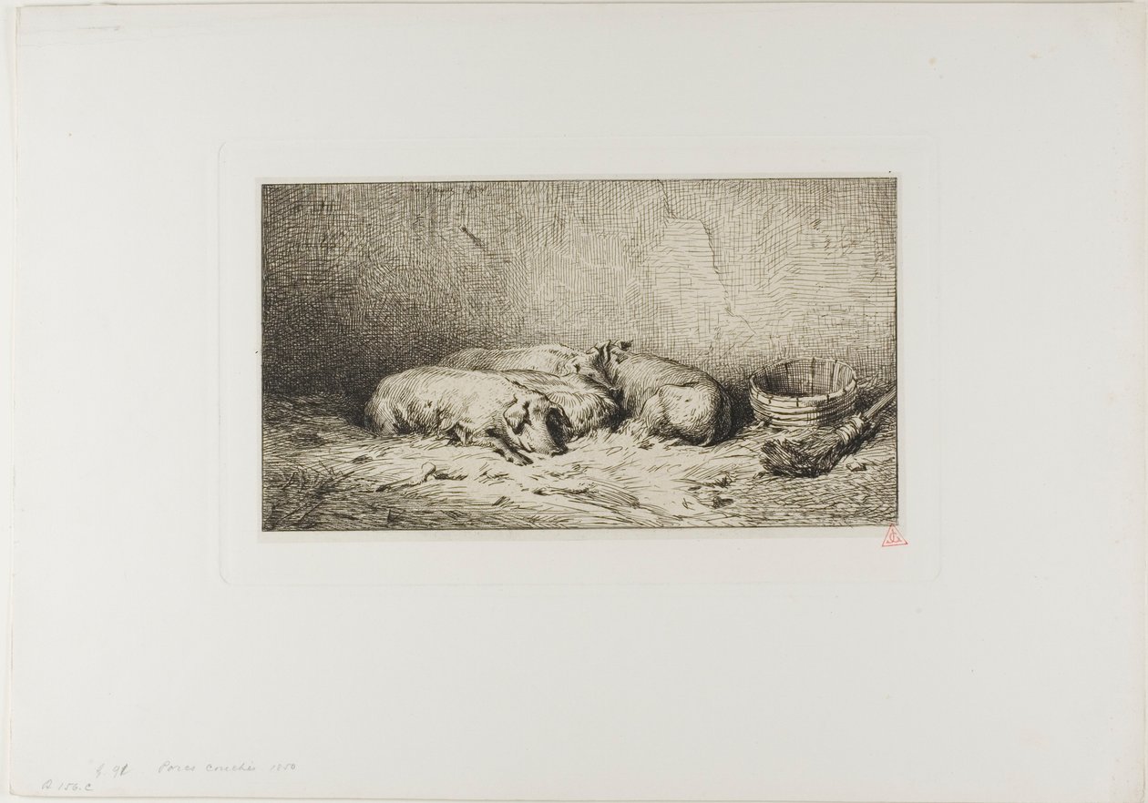 Quatro porcos adormecidos de Charles Emile Jacque