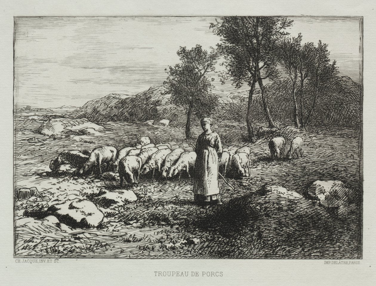 Rebanho de suínos de Charles Emile Jacque