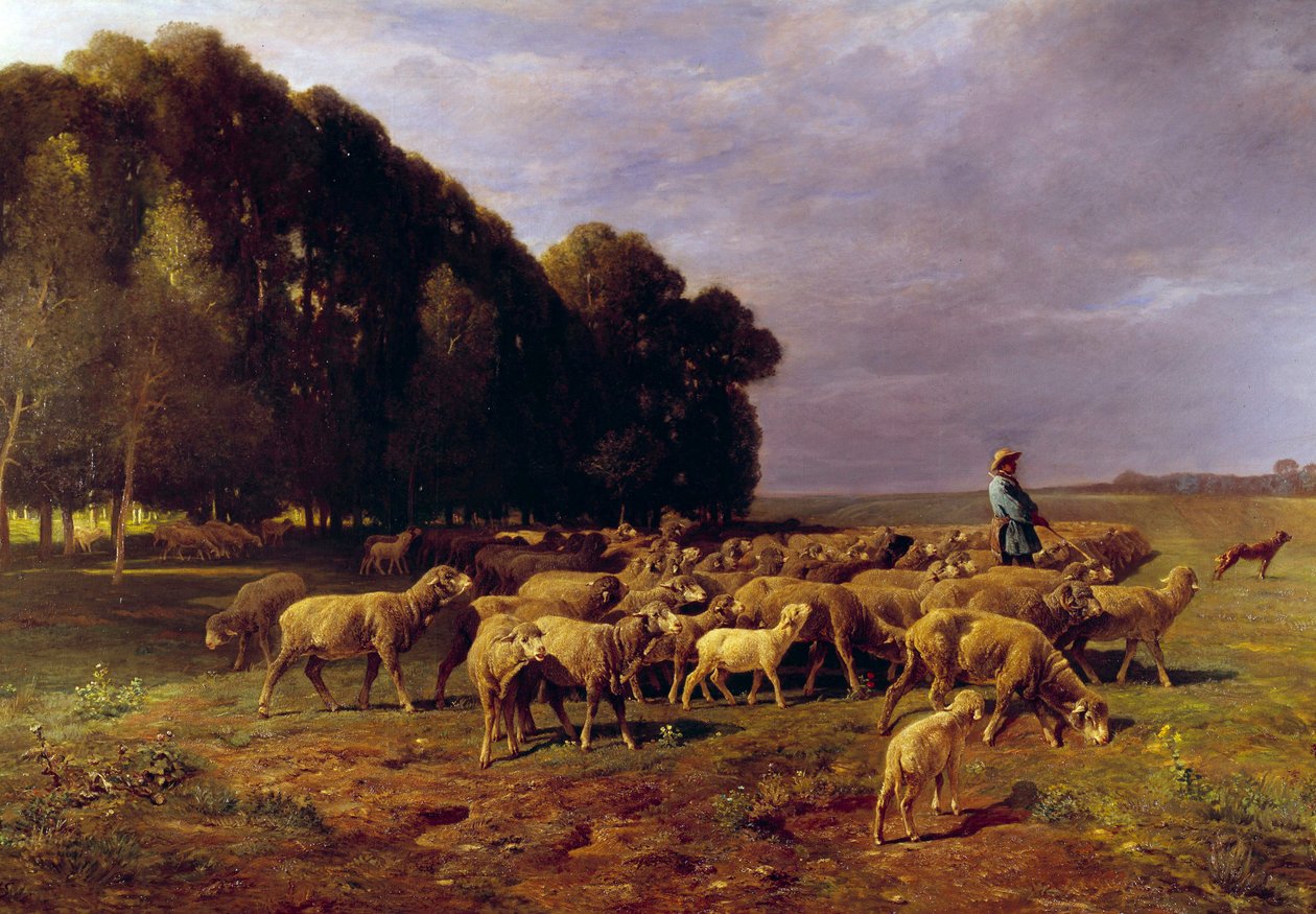 Rebanho de ovelhas numa paisagem ou "Pastor conduzindo um rebanho de ovelhas na planície" Pintura de Charles Jacque (1813-1894) Sol do século XIX. 1,76x2,8 m de Charles Emile Jacque
