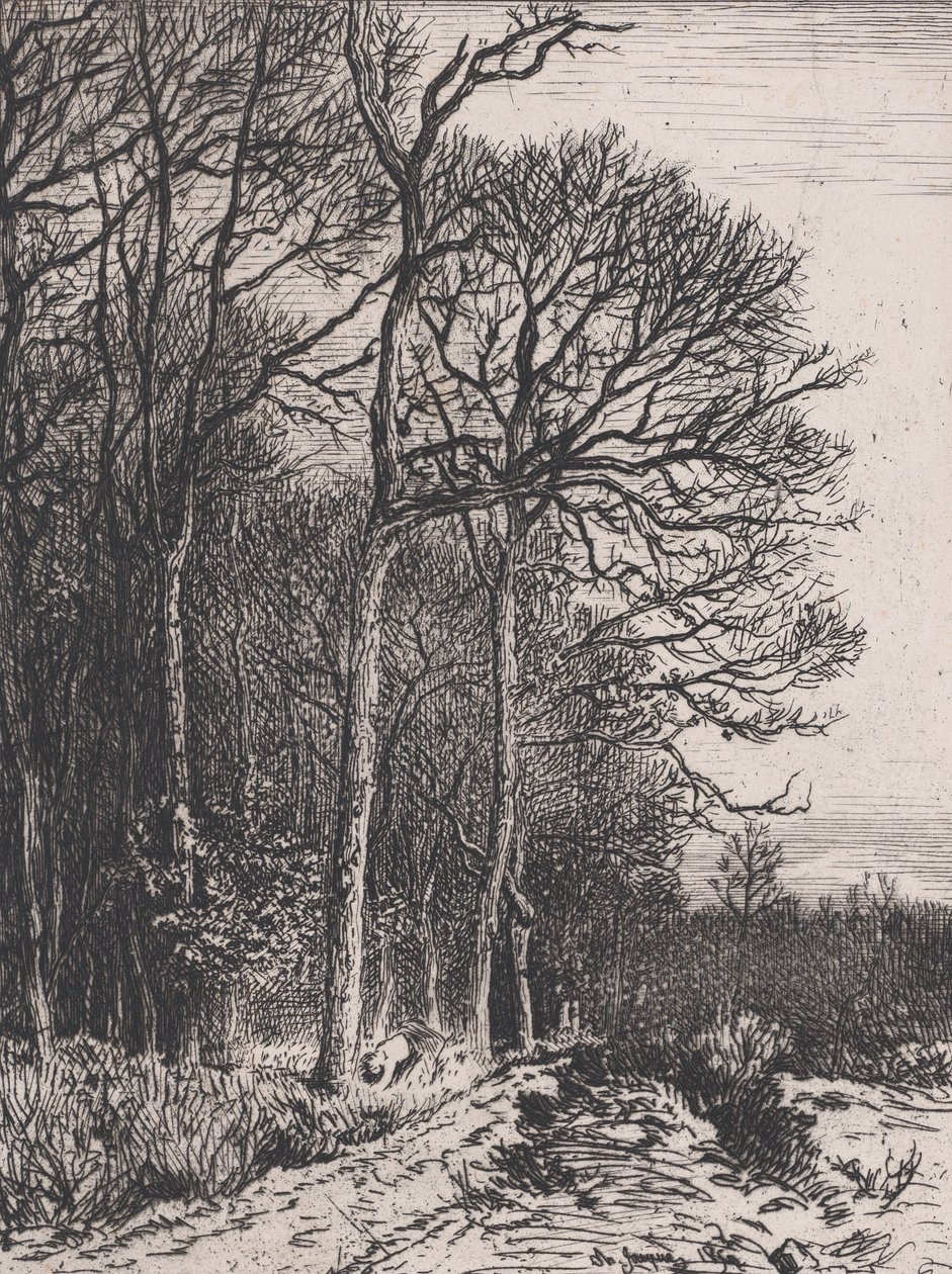 Borda do Bosque, 1846. de Charles Emile Jacque