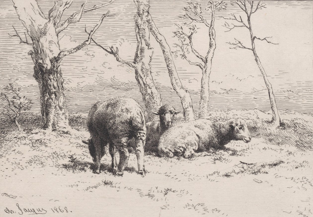 Carneiro, 1868. de Charles Emile Jacque