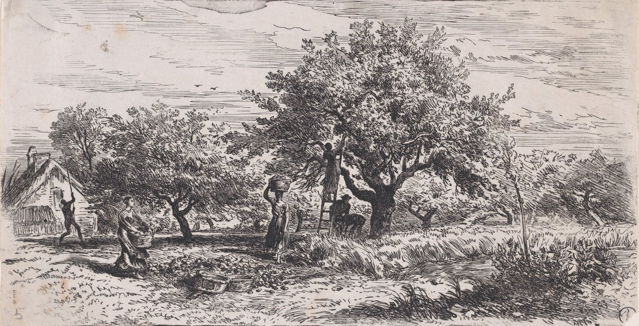 Colhendo frutas da árvore fora da casa, ca. 1852. de Charles Emile Jacque