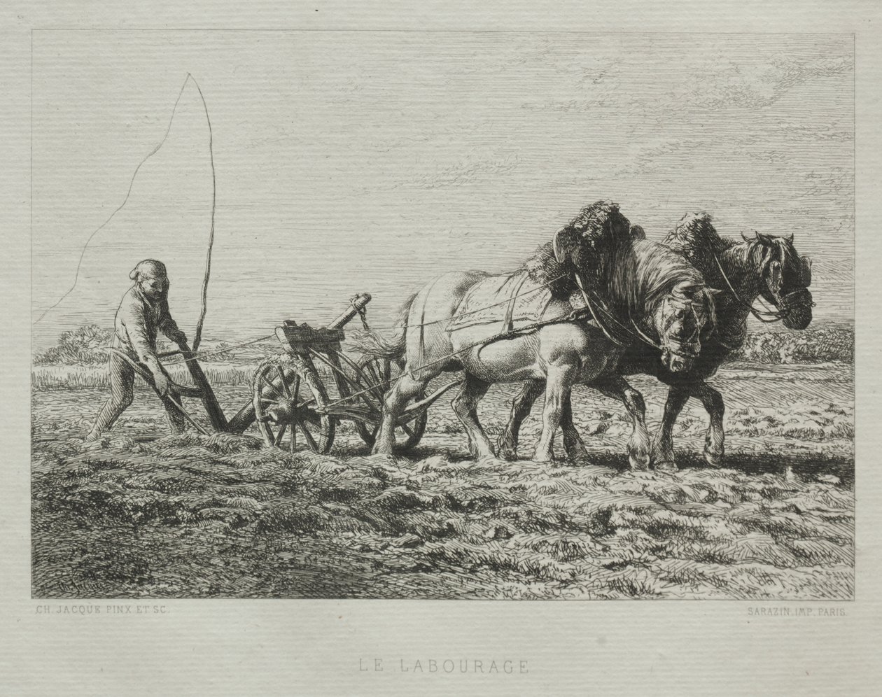 Arar de Charles Emile Jacque