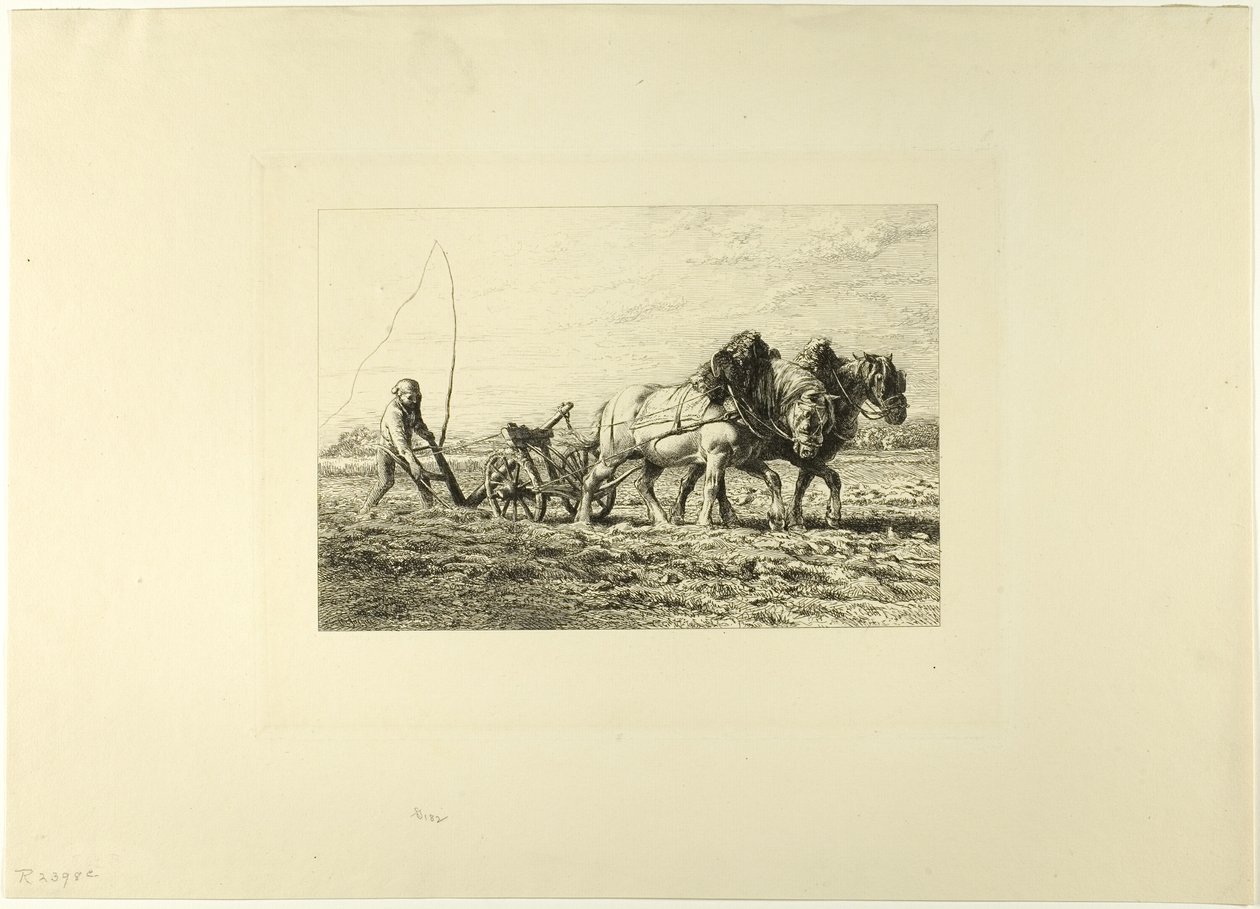 Arar de Charles Emile Jacque