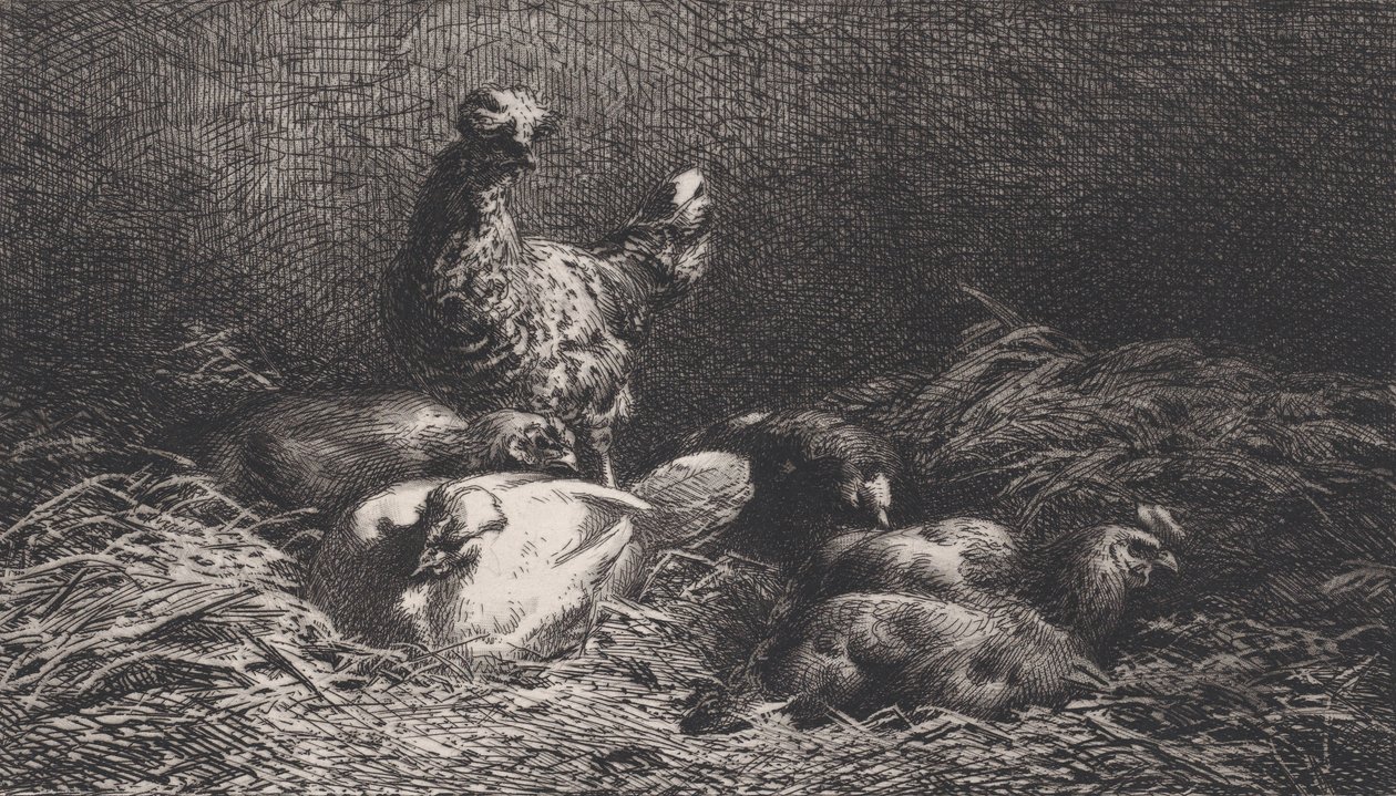 Galinhas, 1867. de Charles Emile Jacque