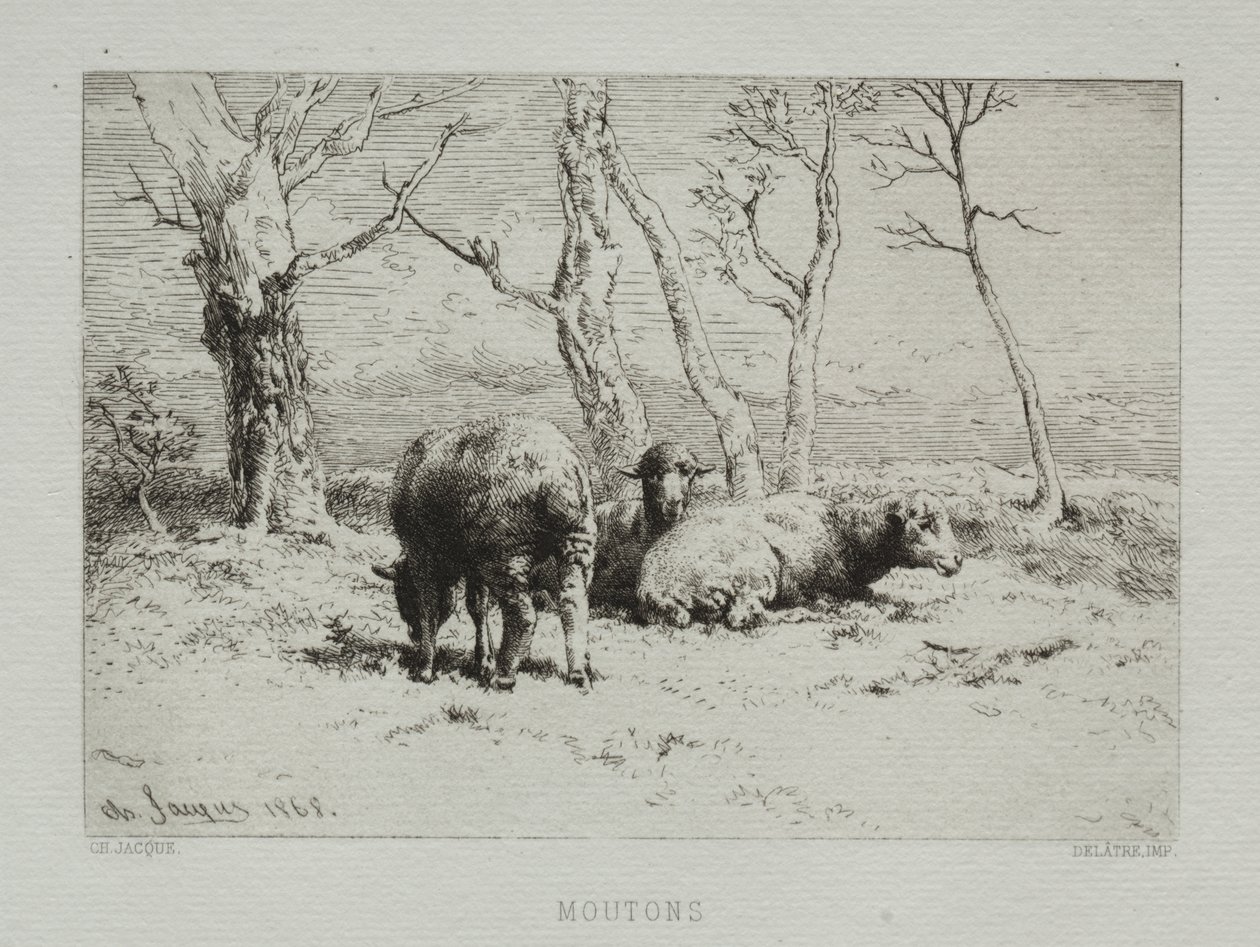 Ovelha de Charles Emile Jacque